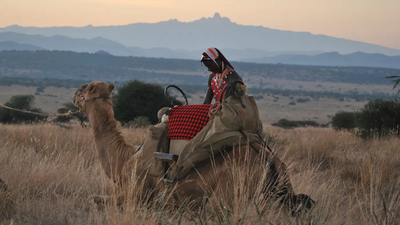 walkingcamels